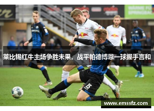 莱比锡红牛主场争胜未果，战平帕德博恩一球握手言和